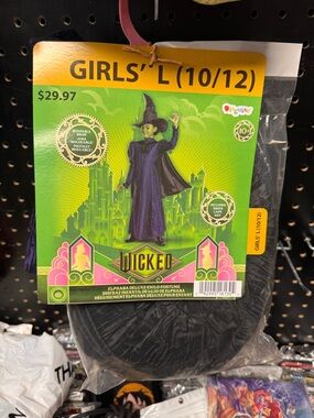 Disguise Wicked Elphaba Girls' Costume - Black and Purple